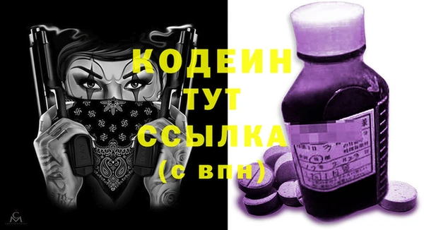 метадон Богданович