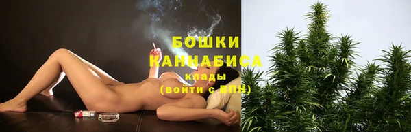 метадон Богданович