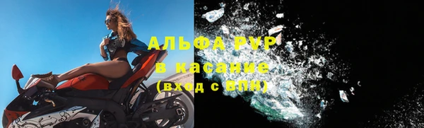 метадон Богданович