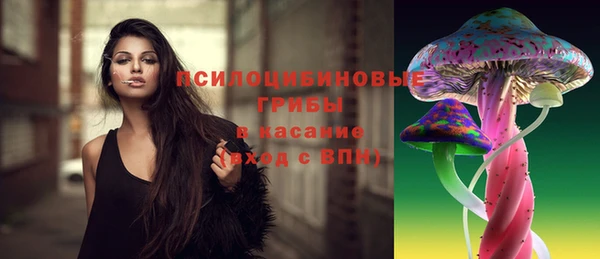 таблы Богородск