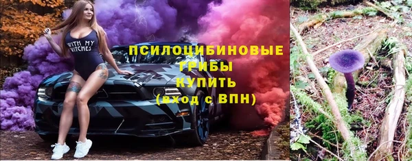таблы Богородск