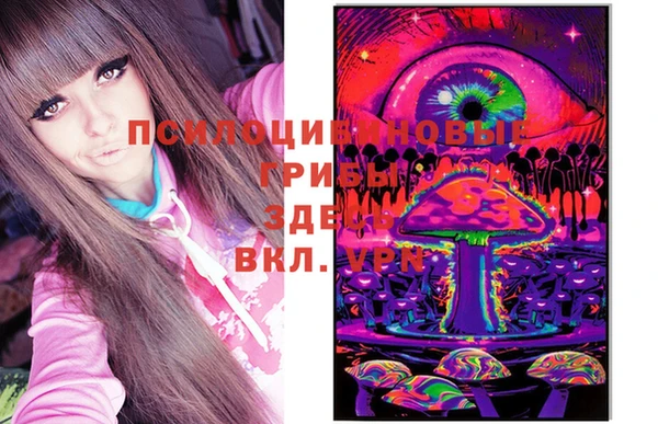 метадон Богданович