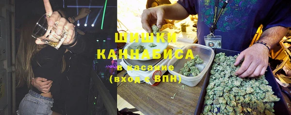 метадон Богданович