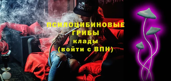 ALPHA-PVP Богородицк