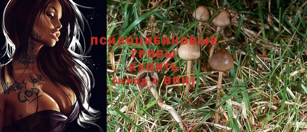 ALPHA-PVP Богородицк