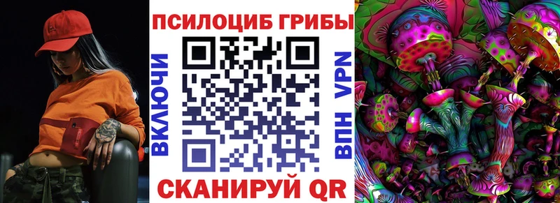 Галлюциногенные грибы Psilocybe  Отрадная 